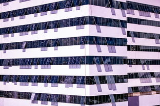 leyu乐鱼官网登录入口-体育赛事风险管控体系建设，体育赛事风险防范