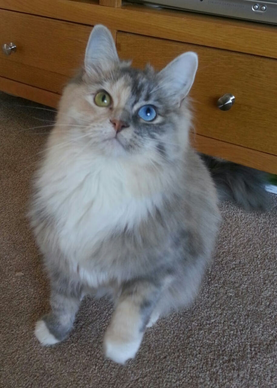 乐鱼电竞· (中国)官方网站-男篮国家队提升禁区协防能力加强防守稳固性，国际男篮防守有3秒规定么