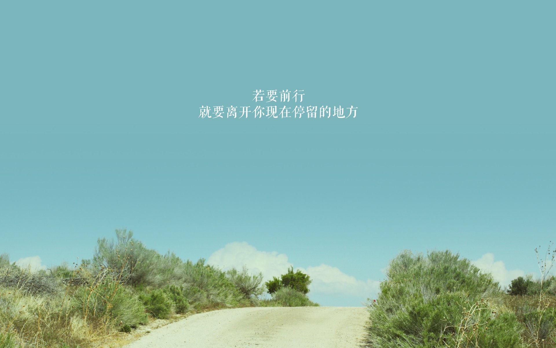 苏炳添参加学术论坛探讨运动科技,苏炳添 导师